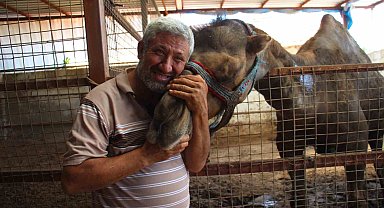 Otomobil fiyatına kurbanlık develer 'yok' satıyor