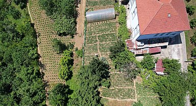 Padişahların meyvesi görücüye çıktı, taleplere zor yetişiyorlar