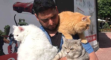 Pakistanlı bilgisayar mühendisi omuzunda ve kucağında gezintiye çıkardığı 4 kedisiyle ilgi çekiyor