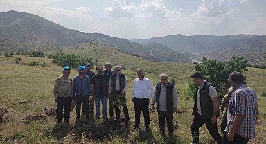 Palu'daki bademler yöre halkına gelir kapısı olacak