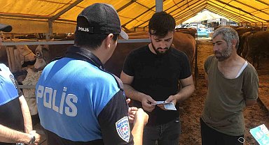 Polis ekipleri vatandaşları kurban pazarında dolandırıcılara karşı uyardı
