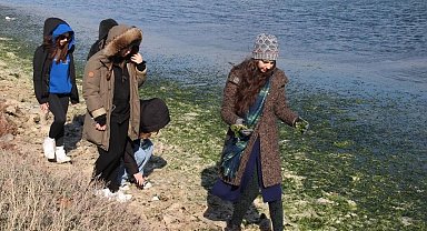 "Deniz marulundan ambalaj" projesine birincilik ödülü