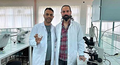 "Uğur böceği örümceği zehirsiz"