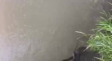 Raftingcilerden yılan kurtarma operasyonu