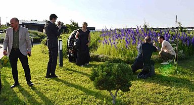 Ressamlar, Hersek Bölgesine hayran kaldılar