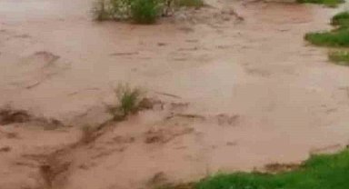 Sağanak sele neden oldu, ev ve ahırları su bastı