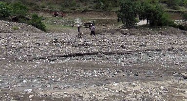 Sağanak yağış çeltik arazilerine zarar verdi
