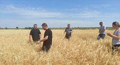 Sağanak yağış ve dolu tarım arazilerine zarar verdi