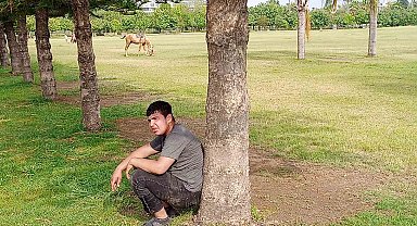 Sahibini düşüren atın parkta başıboş dolaşması vatandaşları tedirgin etti