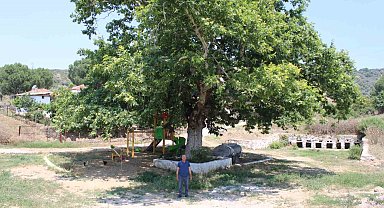 Şahnalı'nın tarihi Sekizpınarlar'ı eski günlerine kavuşmayı bekliyor