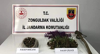 Salep soğanı toplayanlara 2 milyon lira ceza
