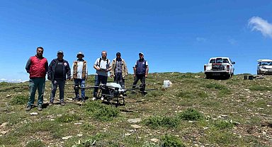 Salihli'de çekirgeye karşı dron ile mücadele