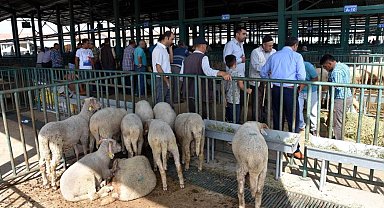 Salihli'de kurban kesim ve satış yerleri belli oldu