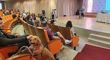 Samsun'da Hayvan Hakları Çalıştayı