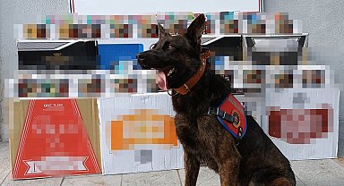 Samsun'da jandarmadan kaçak makaron operasyonu