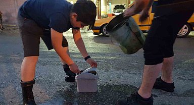 Samsun'da selden etkilenen balıklar ırmağa bırakıldı