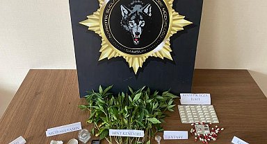 Samsun'da uyuşturucu operasyonu: 2 gözaltı