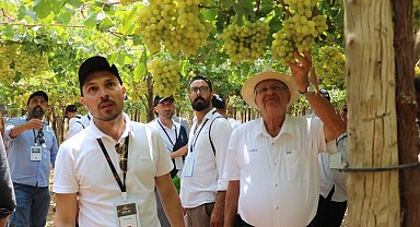 Sarıgöllü bağcılar Mısır'da son üzüm hasadını yerinde inceledi