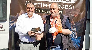 Seferihisar Belediyesinden 400 çiftçiye 4 bin tavuk