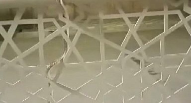 Şehir merkezindeki bariyere çıkan yılan paniğe neden oldu