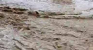 Sel sularının önüne ne geldiyse katıp sürüklediği anlar kamerada