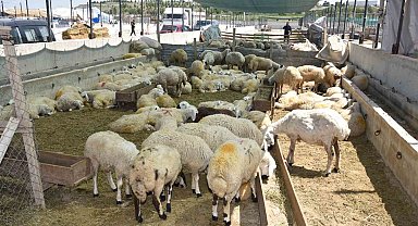 Selçuklu'da kurban satış ve kesim yerleri hazır