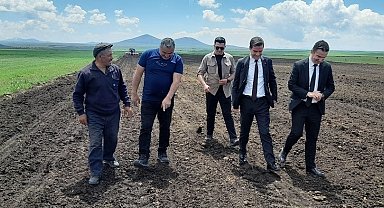 Selim'de yağlık ayçiçeği ekilmeye başladı