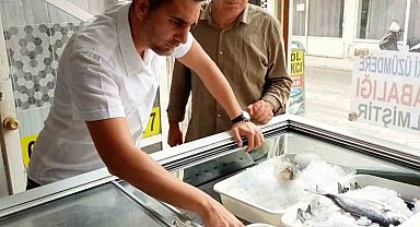 Serik'te balık satan iş yerleri denetlendi