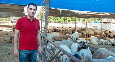 Seyhan'da kurban satış ve kesim yerleri belirlendi