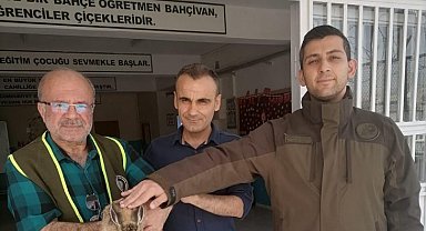 Siirt'te doğada bitkin halde bulunan yaban tavşanı tedavi altına alındı