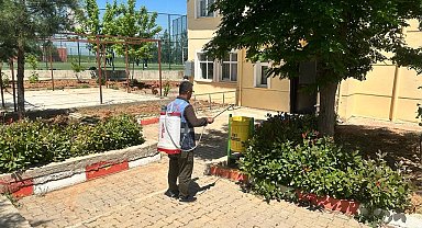 Siirt'te haşerelere ve kötü kokuya karşı ilaçlama yapılıyor