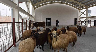 Siirt'te kurban satış ve kesim yerleri belirlendi