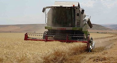 Siirtli çiftçinin 310 bin dekar buğday tarlasından beklentisi 160 bin ton üzeri