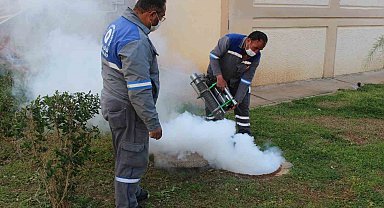 Sineksiz yaz için ilaçlama ordusu iş başında