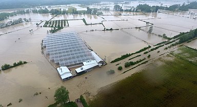 Sinop'ta sel çeltik tarlalarını ve seraları vurdu