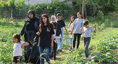 Şırnak'ın sebze ihtiyacını karşılamak için harekete geçildi