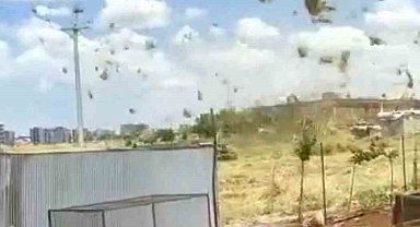 Siverek'te çıkan hortum paniğe neden oldu