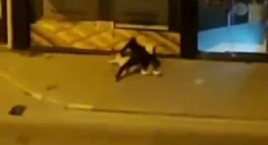 Sokak ortasında dayak yedi, polis gelince şikayetçi olmadı