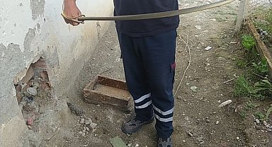 Su saatine giren yılan paniğe neden oldu