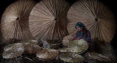 Sultan Sazlığı'nın Doğal ve Ekonomik Zenginliği Kamışlar