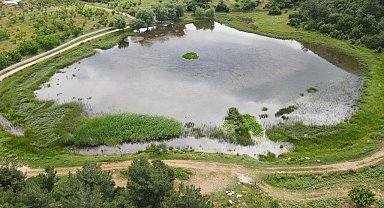 Sülüklü Göl doğa ve fotoğraf tutkunlarının uğrak noktası oldu