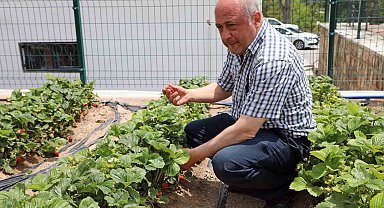 Talas'ta deneme bahçeleriyle yeni ürünlere teşvik