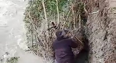 Tarım arazilerini selden korumak için barajı tıkayan ağaçları temizlediler