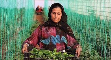 Tarım-GFE yıllık yüzde 40,20 arttı