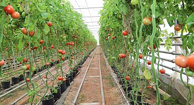 Tarımda "jeotermal" devri