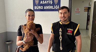 Tatildeki turistin kayıp köpeğini polis buldu