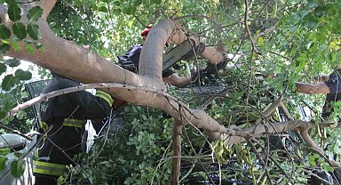 Tatilinin ilk gününde denize girmek için aracını park etti, geri döndüğünde gözlerine inanamadı