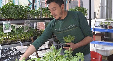 Tavşanlı'da havaların ısındı, fide satışları arttı