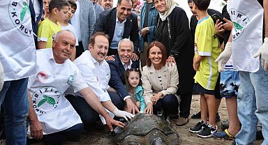 Tedavileri tamamlanan deniz kaplumbağaları denize bırakıldı