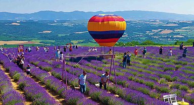 Tekirdağ'da mor şenlik